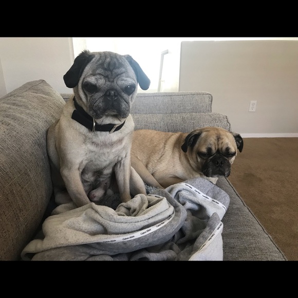 Meet your Posher, Jessica - Picture 1 of 1